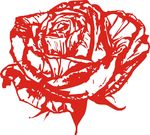 玫瑰花