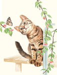 猫