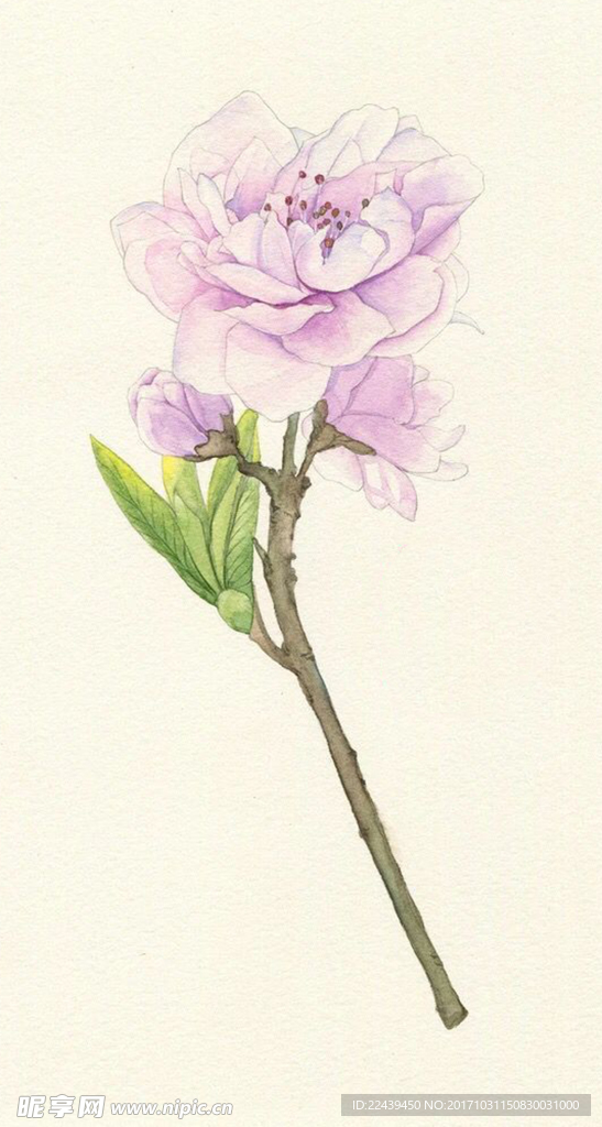 花
