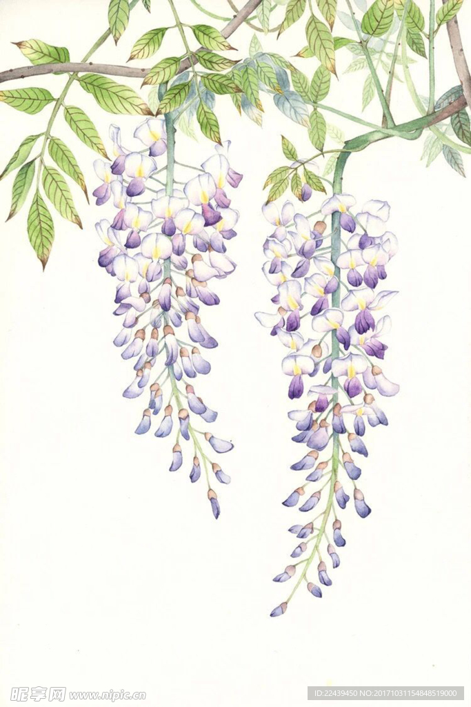 花