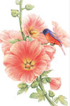彩铅花