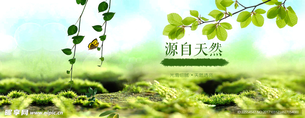 绿色清新自然植物