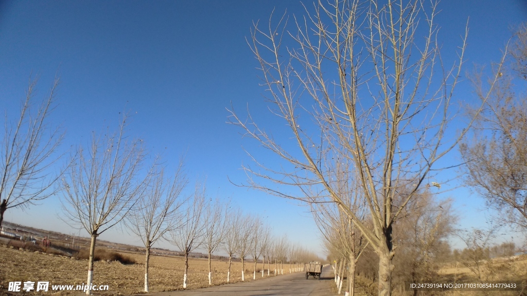 路