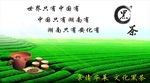 黑茶