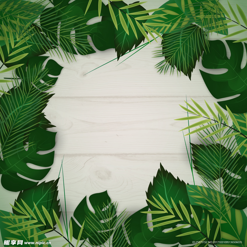 绿色背景