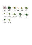 植物平面图素材