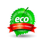 eco叶子标签立体图标