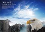 企业文化  海报