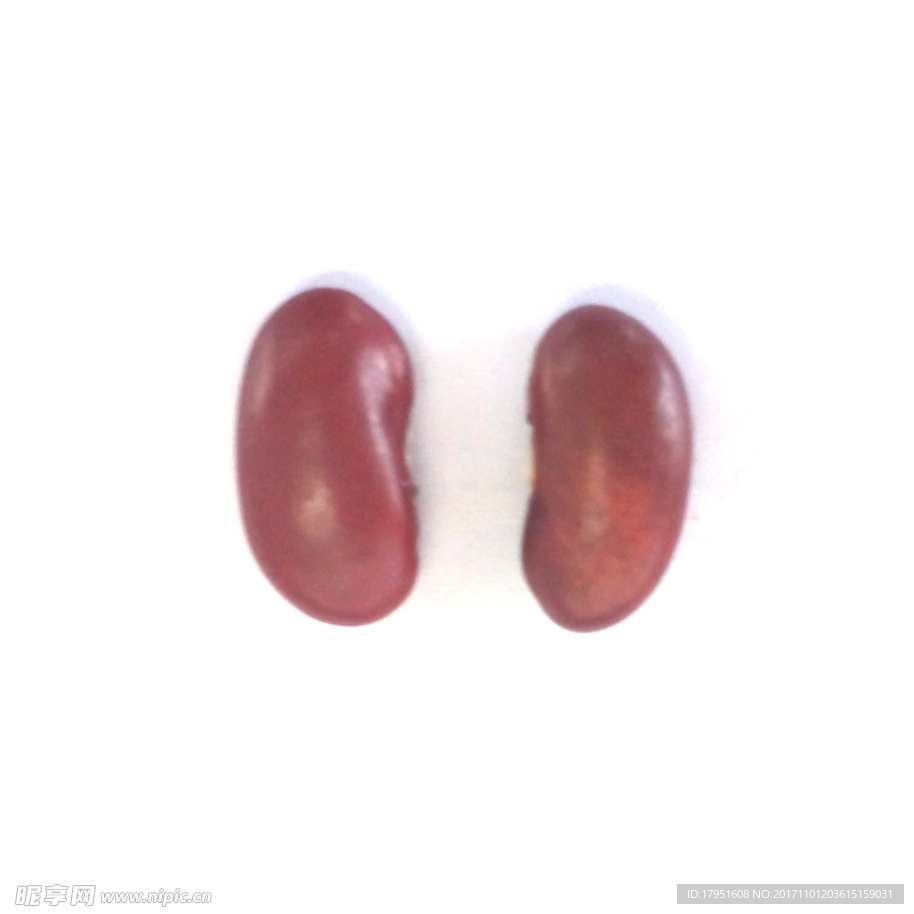 豆子