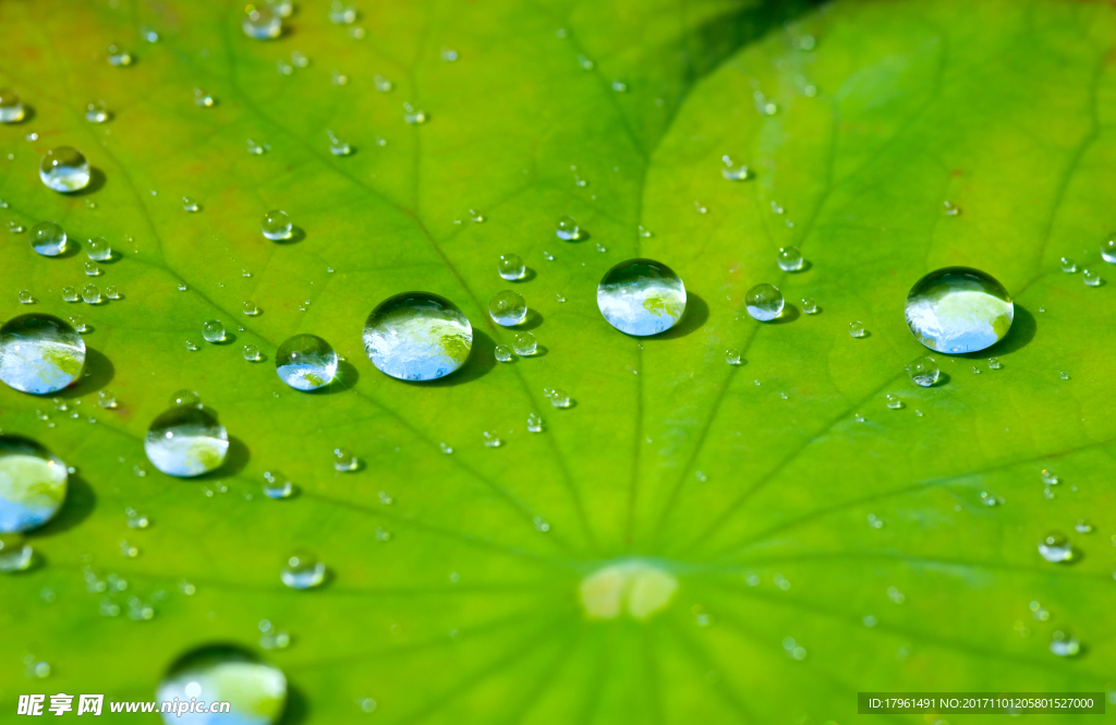 水珠