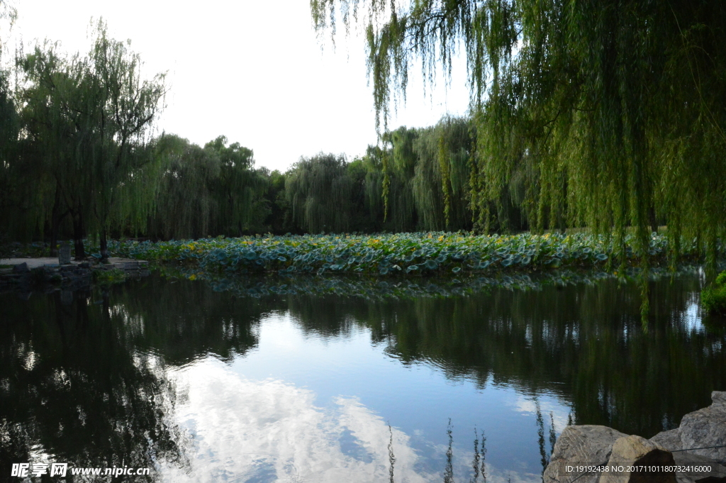 圆明园风景