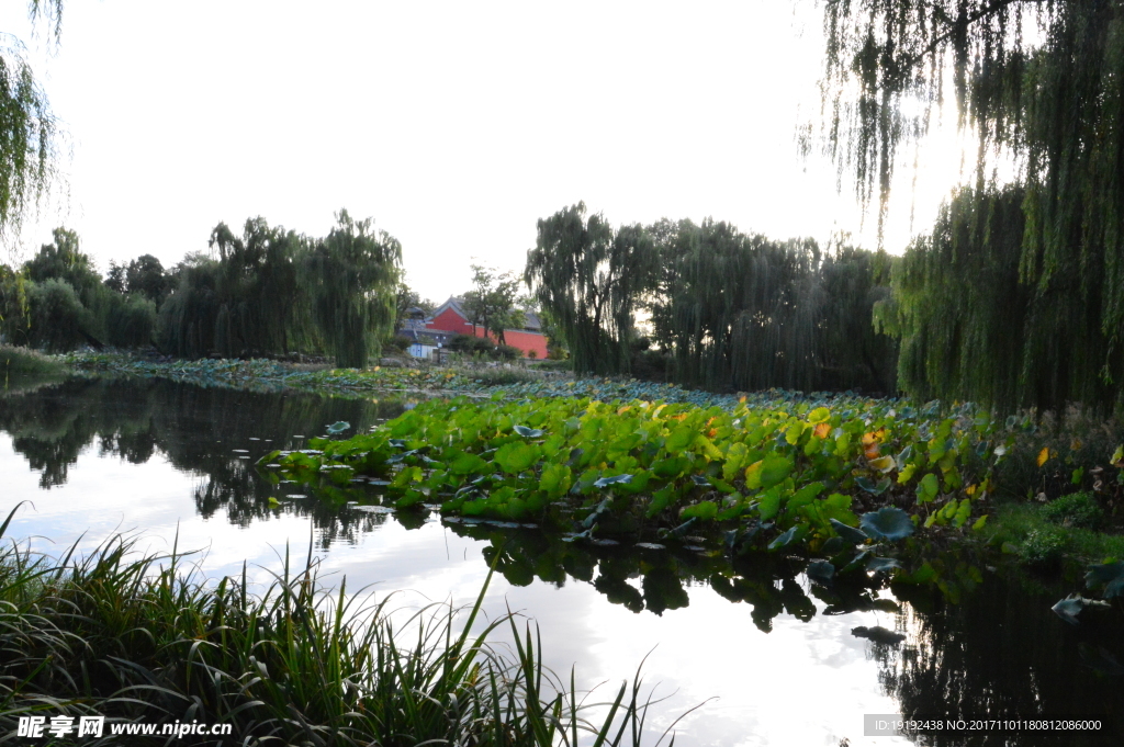 圆明园风景