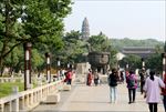 虎丘