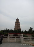 西安 大雁塔