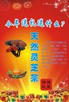灵芝宣传单