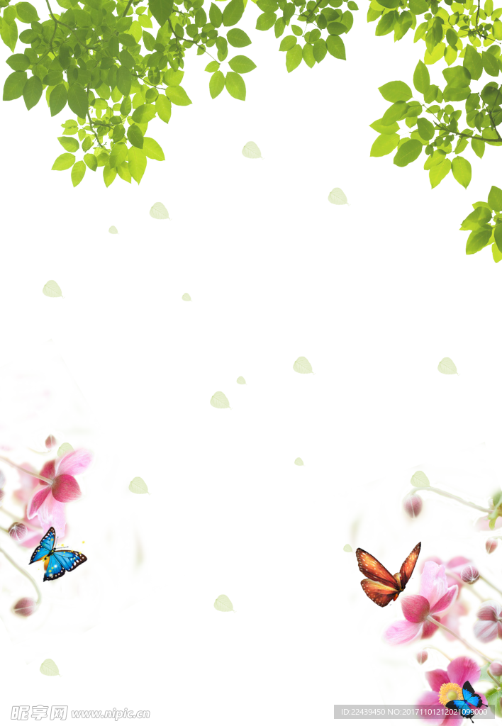 树叶