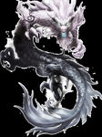 龙