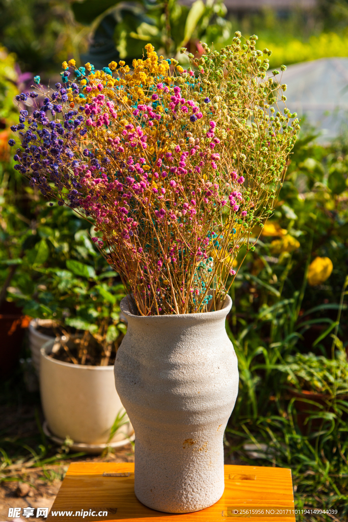 花卉