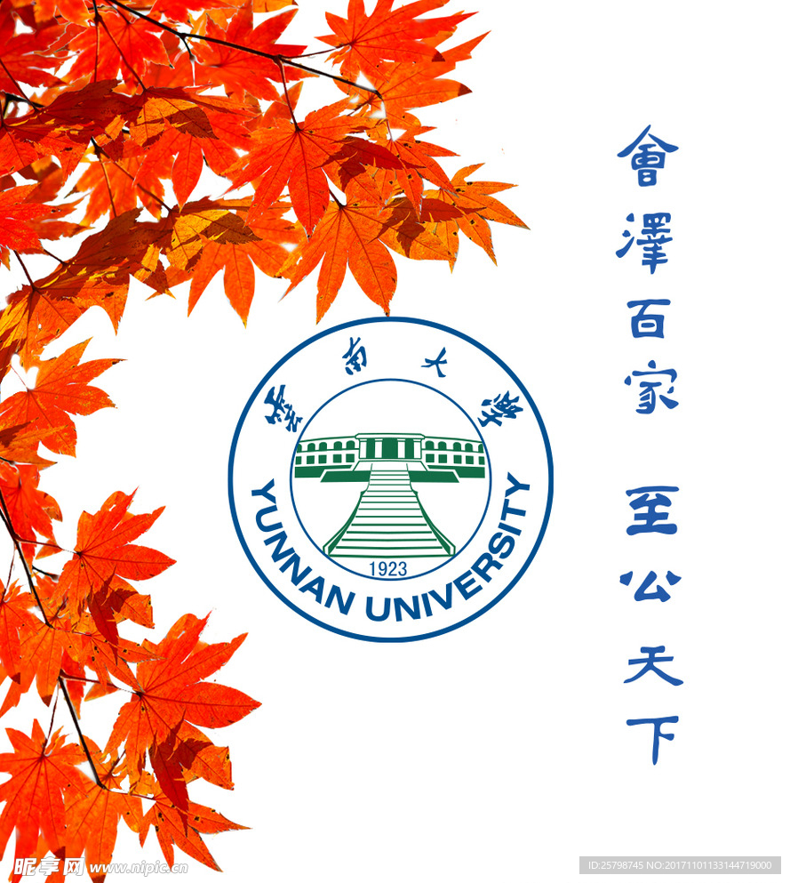 云南大学帆布袋正面