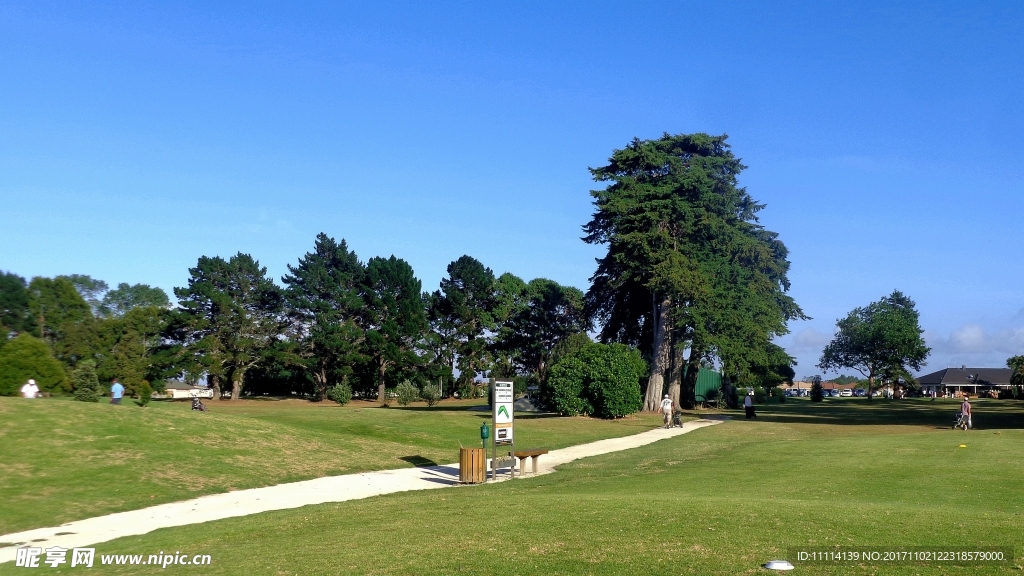 奥克兰高尔夫球场风景