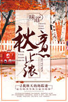 秋意正浓