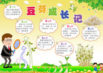 豆芽成长记小报