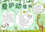 爱护动植物小报