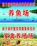 养殖场海报