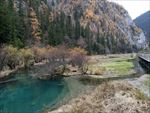 森林美景