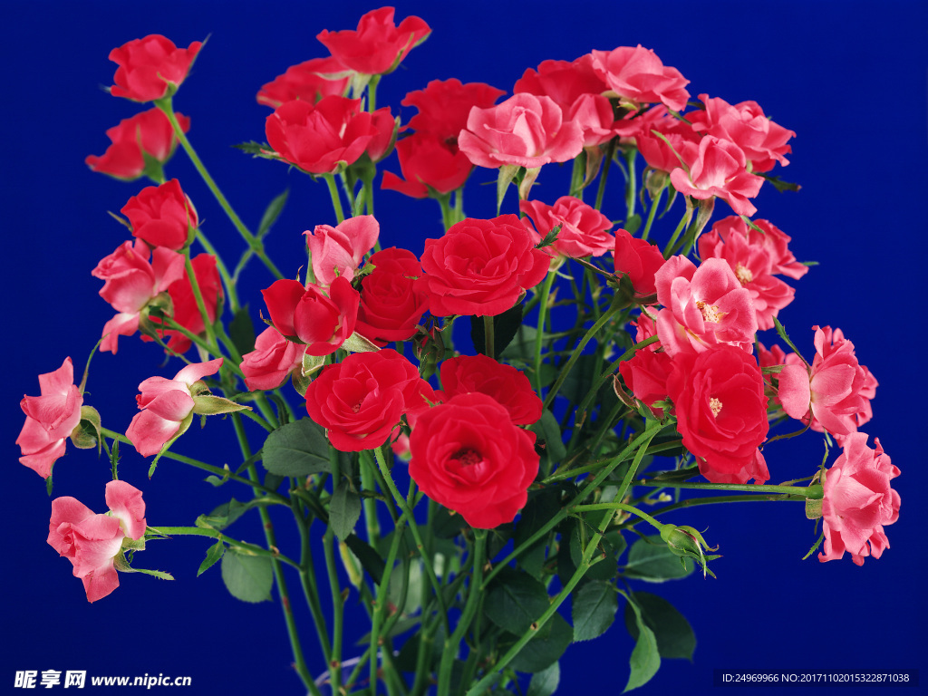 鲜花花艺