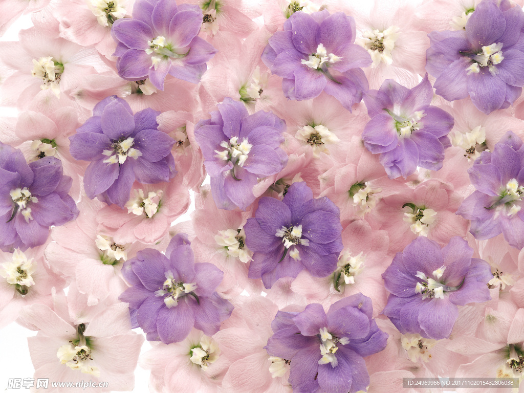 鲜花花艺