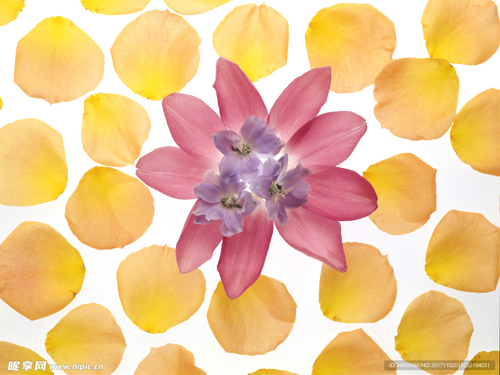 鲜花花艺
