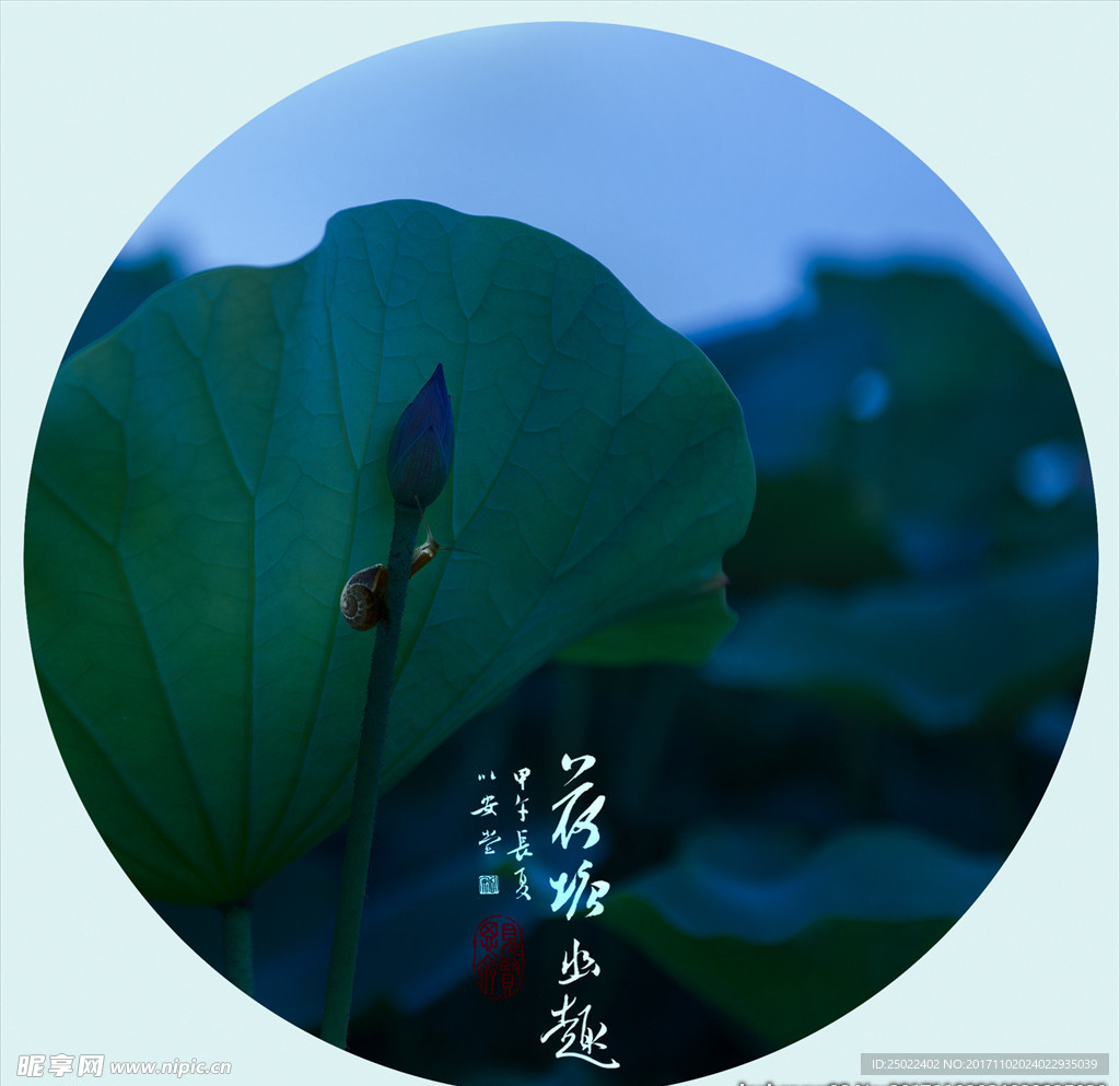 荷塘幽趣-蜗牛