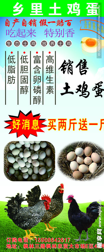 土鸡蛋展架