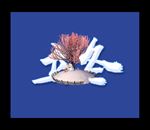 立冬