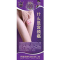 什么是宫颈癌