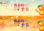 收获的季节 树枝 水果 桔子