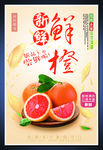 鲜橙海报
