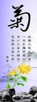 梅兰竹菊    展板