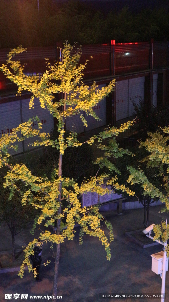街道
