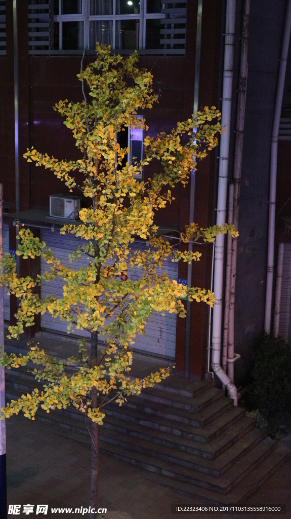 街道