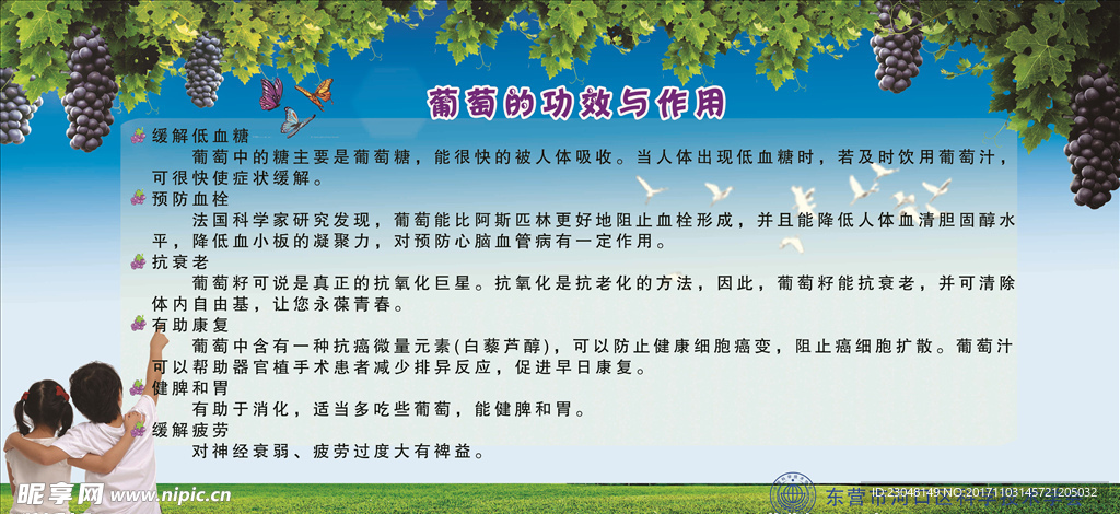 葡萄