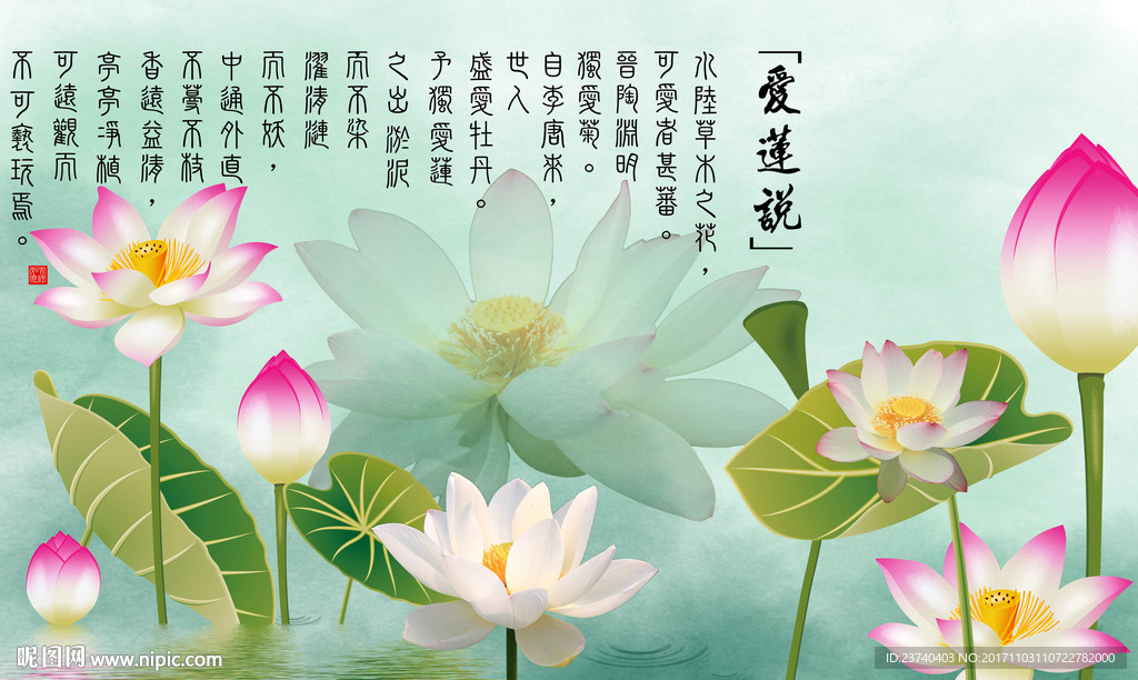 荷花背景墙