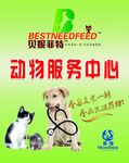 动物服务中心