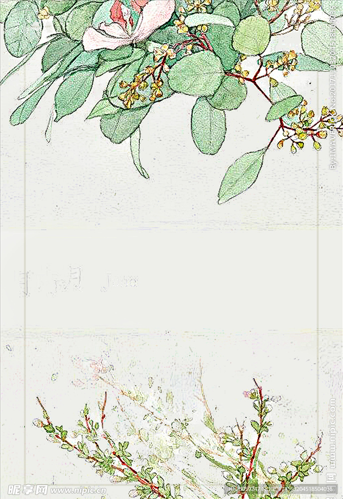 小清新背景
