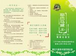 茶三折页设计
