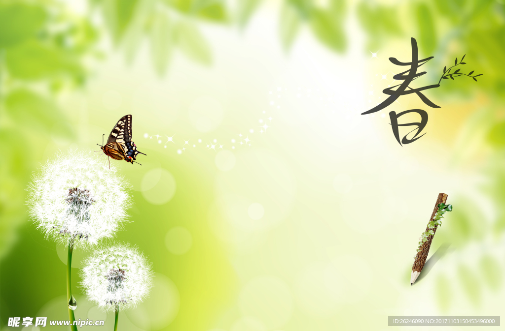 春天的蝴蝶
