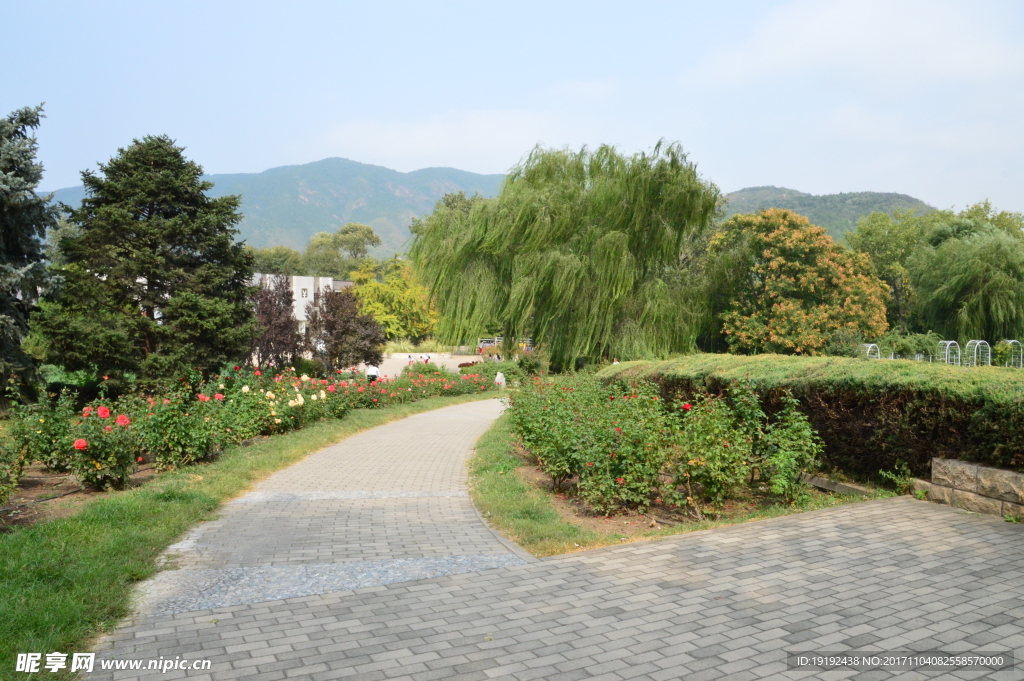 植物园风景