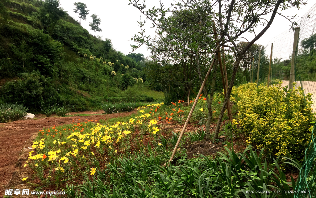 夹关古镇四季花语