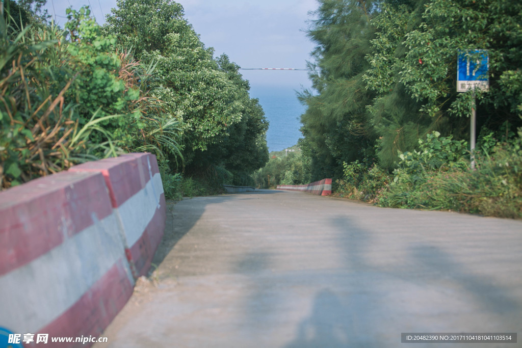 大陈岛道路